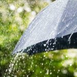 METEO Ploi lapovita si ninsoare pana duminica seara