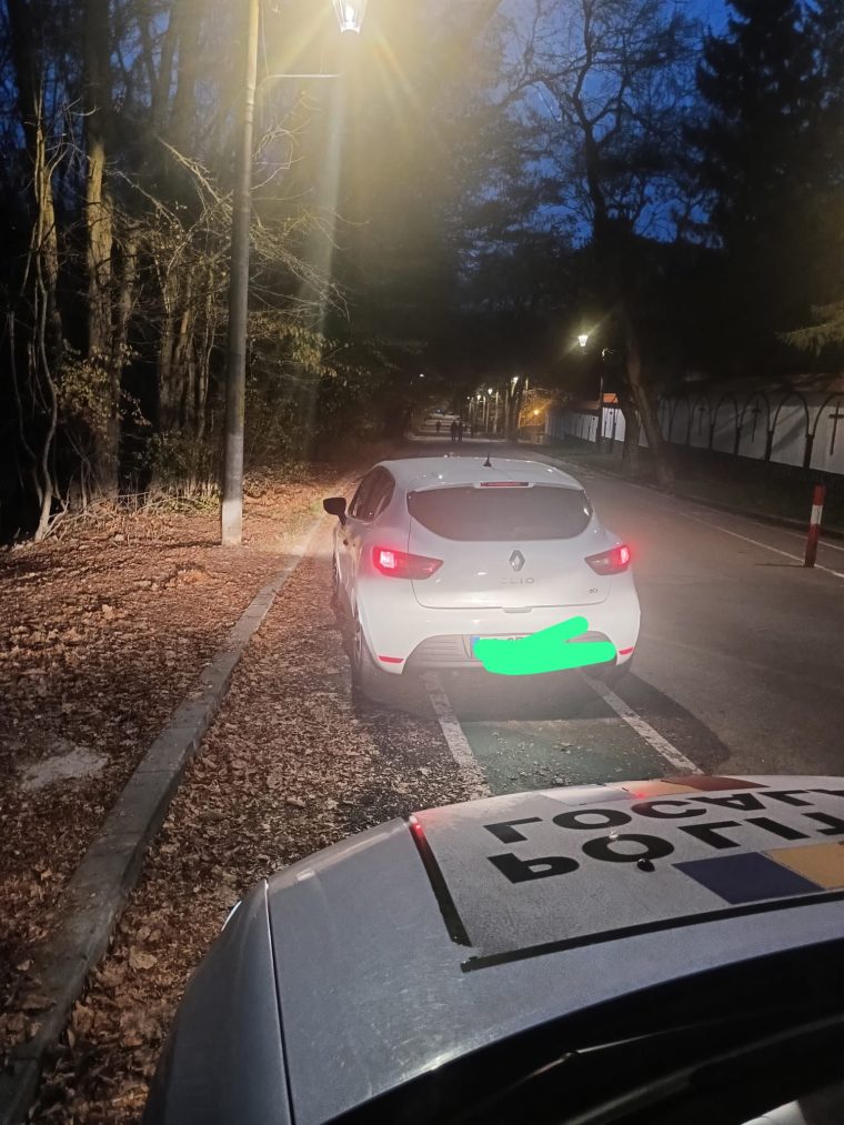 Pitesti controale ale politiei locale in parcarile comerciale