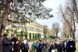 Sa sfintit troia din Curte colii Mihai Eminescu Pitesti