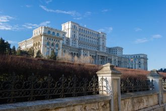 Statul ar putea sustine financiar ONG urile pe termen lung