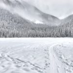 Tanarul disparut in Bucegi nu a fost gasit