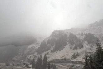 VIDEO Ninsoare si ceata pe munte