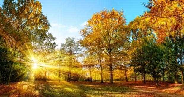 Weekend cu vreme blanda de toamna racire luni