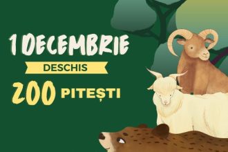 Zoo Pitesti deschisa de Ziua Nationala a Romaniei