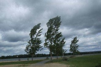 Alert meteo Arge i 25 de judee sub Cod galben