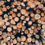 Arges Trei persoane cercetate pentru delapidare in silvicultura