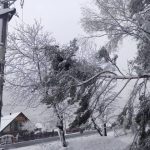 Cod galben de vant in Arges si alte 22 judete