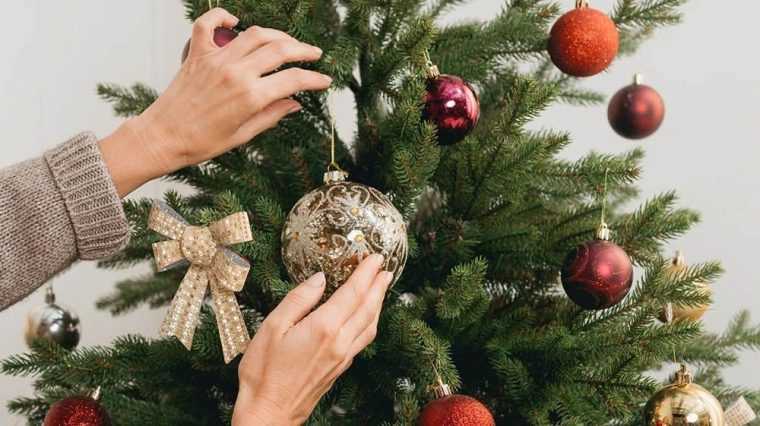 Craciunul interzis tarile unde bradul e interzis