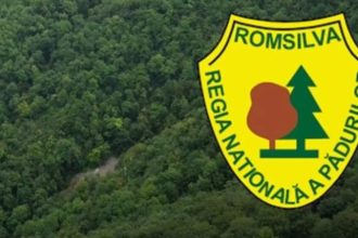 Disputa pentru pasune pe valea Raului Doamnei