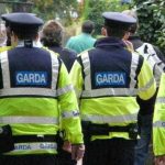 Garda Forestiera control la o fabrica din Schitu Golesti