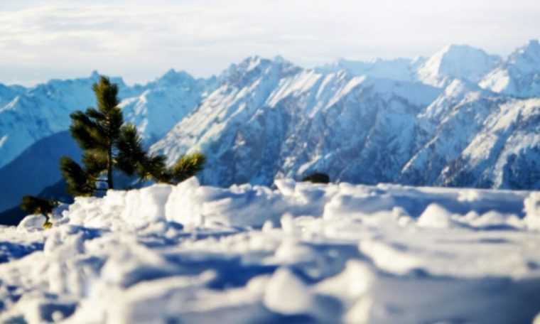 Jandarmii montani au salvat un barbat de 72 de ani