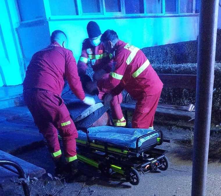 Lupu din Trivale a fost gasit pe alei