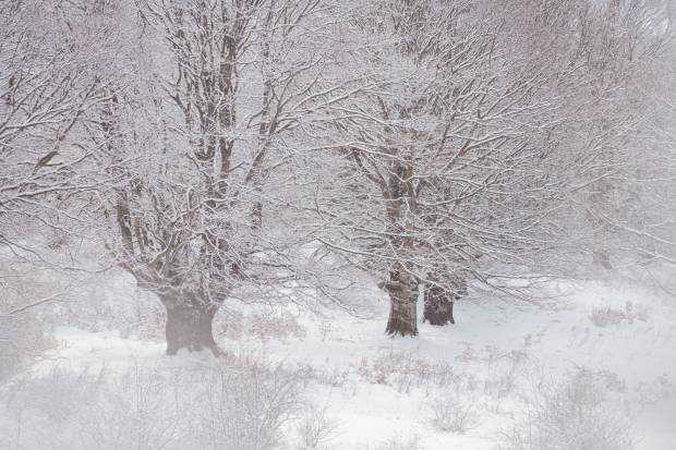 Patru zile de iarna severa cu ninsori si viscol