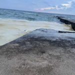 Poluare in Marea Neagra dupa bombardamentele de la Odesa