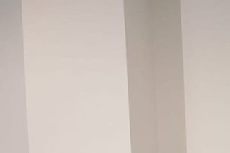 Primul verdict al medicilor pentru Mario Tudose