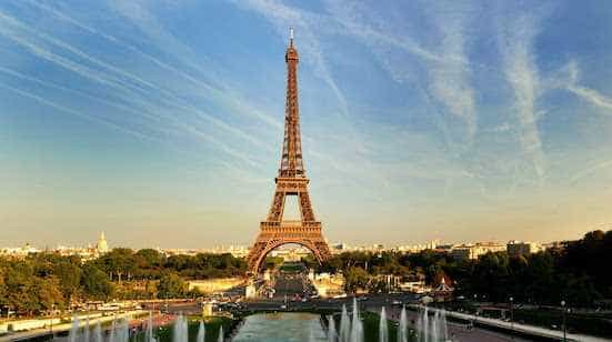 Retea romaneasca de alba neagra distrusa la Paris