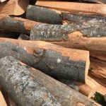 Romsilva deschide un magazin online pentru lemn de foc