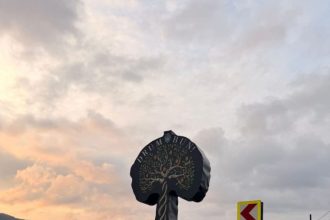 Semnificatia totemului din comuna Miheti de Mo Nicolae