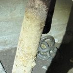 Serpi de 1 5 metri descoperiti in beciul din Tulcea