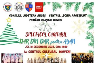 Spectacol caritabil Dar din Dar pentru Ayan la Mioveni