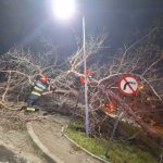 Vantul a provocat distrugeri in Arges