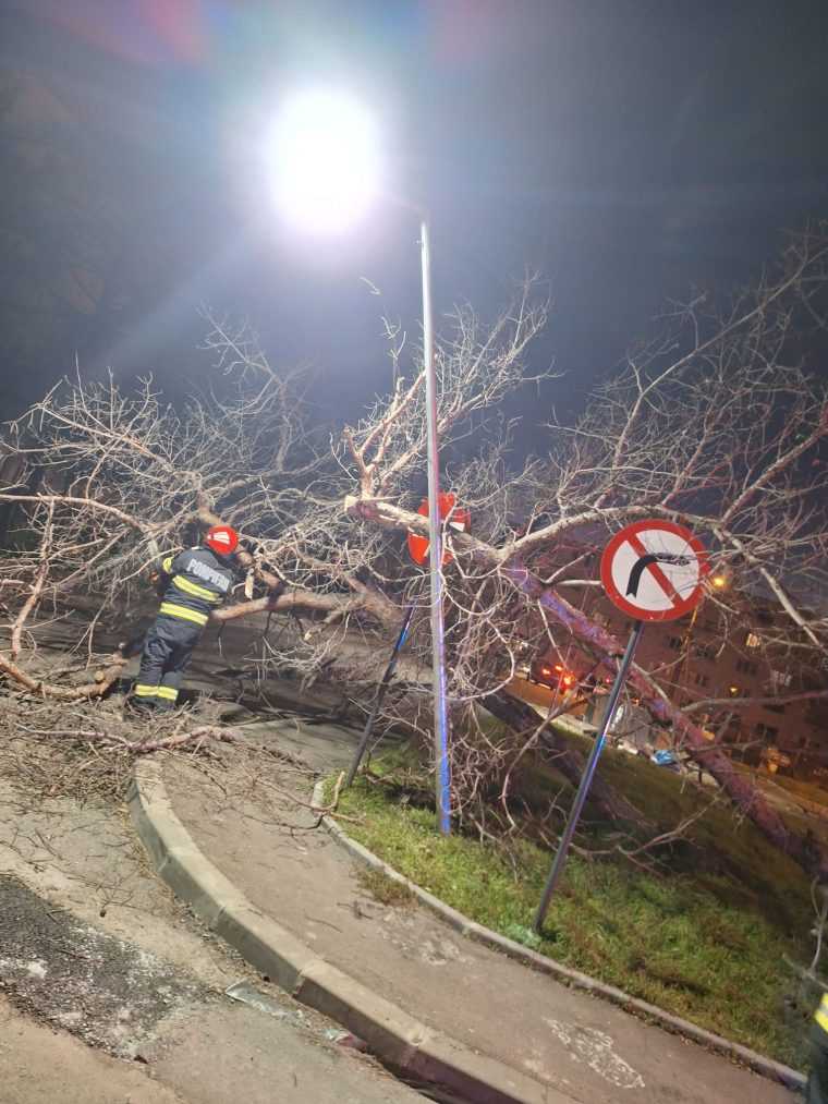 Vantul a provocat distrugeri in Arges