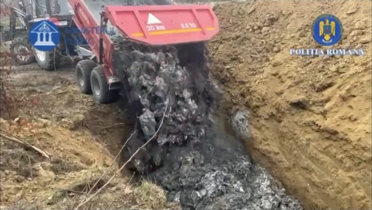 Video Perchezitii la abatoare in Bascov si Baiculesti