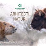 documentarul arhitectii naturii in premiera pe tvr 1 4 decembrie