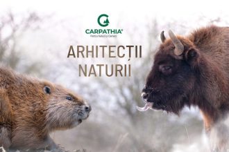 documentarul arhitectii naturii in premiera pe tvr 1 4 decembrie