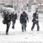 ninsori de craciun si revelion ce zone vizeaza