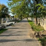 viceprimar transferat sa lucreze in cimitir la indicatia primarului