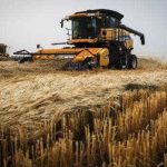 28 din terenurile agricole ale Romaniei sunt detinute de straini Ministrul asigura Terenul Romaniei nu va pleca nicaieri