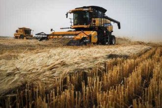 28 din terenurile agricole ale Romaniei sunt detinute de straini Ministrul asigura Terenul Romaniei nu va pleca nicaieri