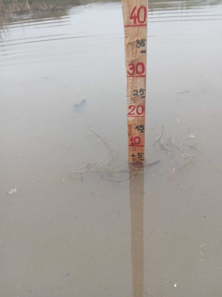 Apele Romane Arges Vedea avertizari de cod portocaliu si cod galben de inundatii