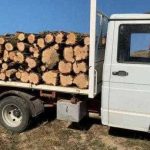Arges Prins transportand lemn fara documente justificative