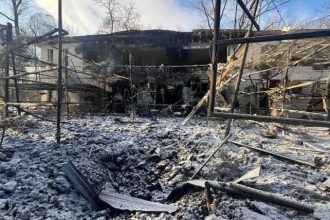 Atac devastator la Feldman EcoPark lei raniti pasari ucise