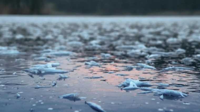 Barbat cazut sub gheata raului Mures incercand sa si salveze cainele