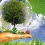 Companiile private investesc de doua ori mai mult decat stat in protectia mediului