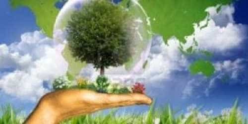 Companiile private investesc de doua ori mai mult decat stat in protectia mediului