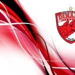 Fost crainic al lui Dinamo condamnat la inchisoare