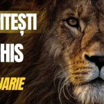 Gradina Zoologica din Pitesti deschisa sambata 24 ianuarie