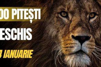 Gradina Zoologica din Pitesti deschisa sambata 24 ianuarie