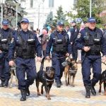 Jandarmii din Arges prezenti la evenimentele organizate cu ocazia sarbatirii a 167 de ani de la Unirea Principatelor Romane