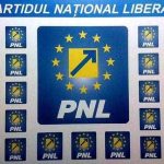 PNL Arges a solicitat oficial controlul de la prefecta Ioana Facaleata