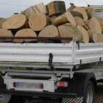 Prins in Arges transportand lemne fara documente justificative Ce valoare a avut amenda