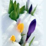 Ragaz pentru suflet 47 Frate Eminescu