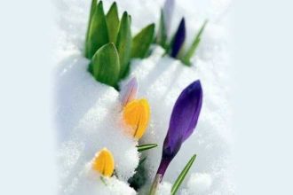 Ragaz pentru suflet 47 Frate Eminescu