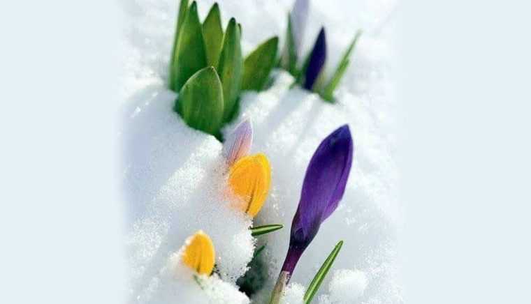 Ragaz pentru suflet 47 Frate Eminescu