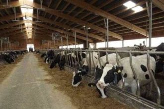 Romania primestes 500 de milioane euro pentru ferme