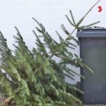 Si in Stefanesti se strang brazii de Craciun